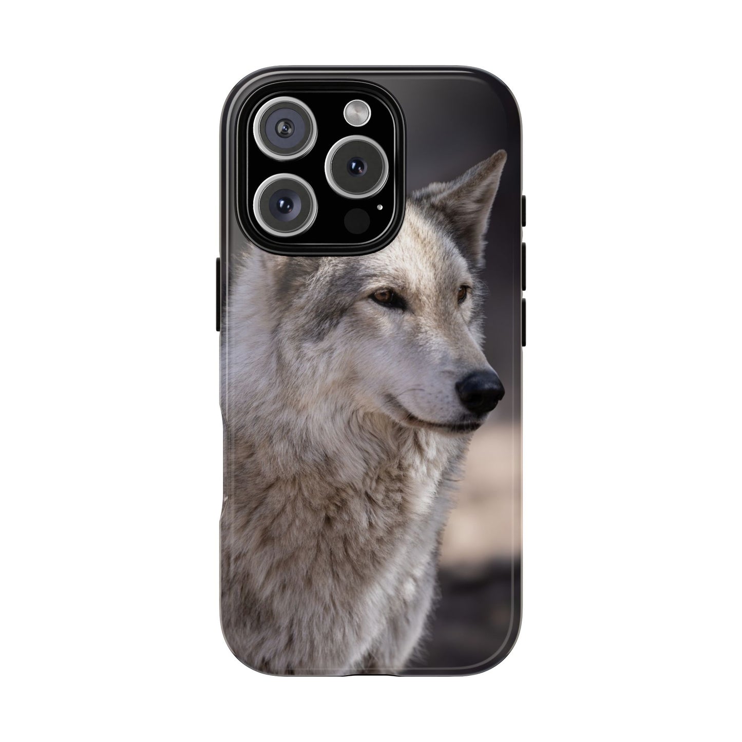 Torben Phone Case