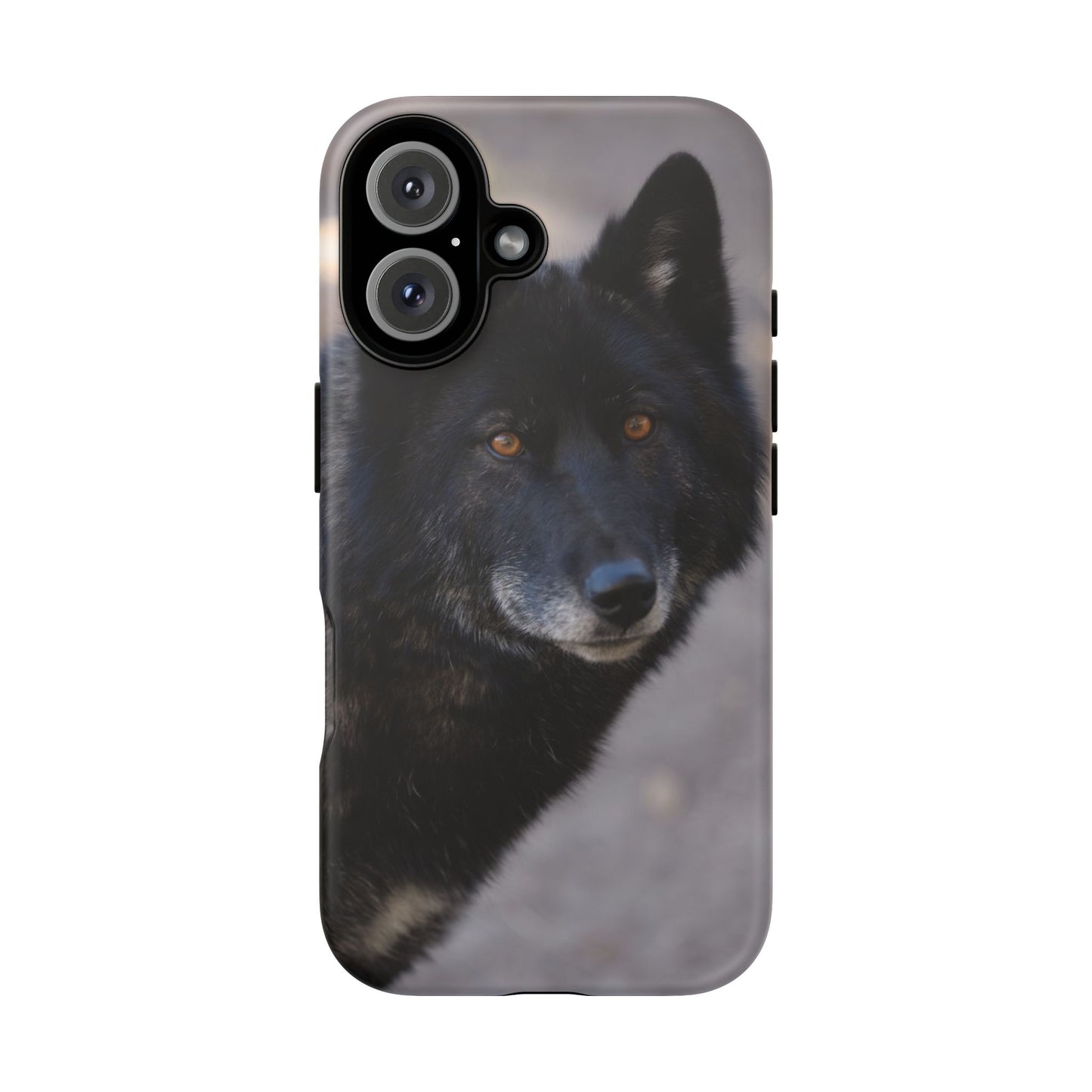 Lakota Phone Case