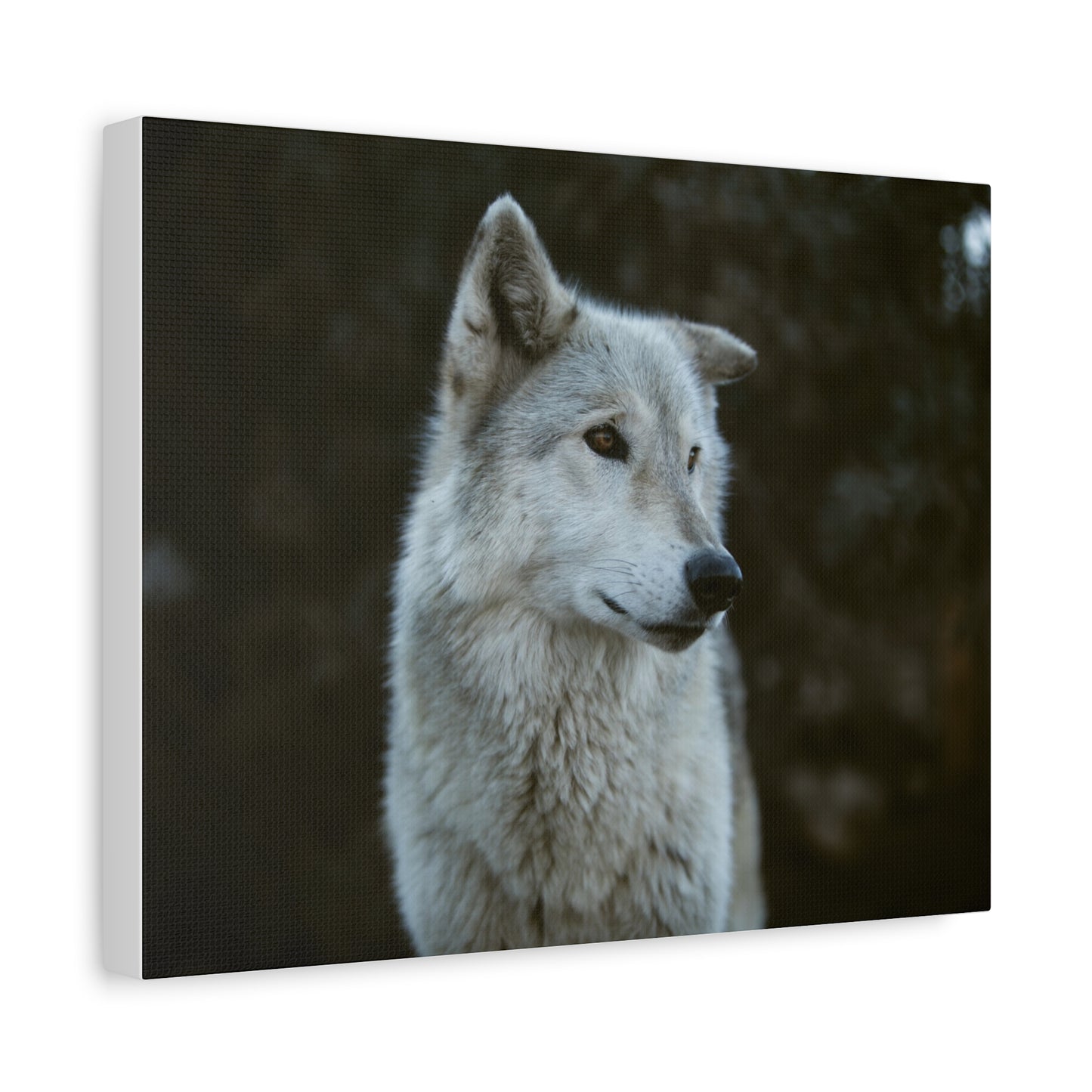 Willow Canvas Print