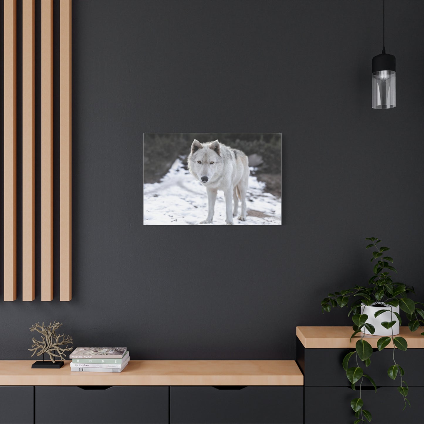 Leo Canvas Print