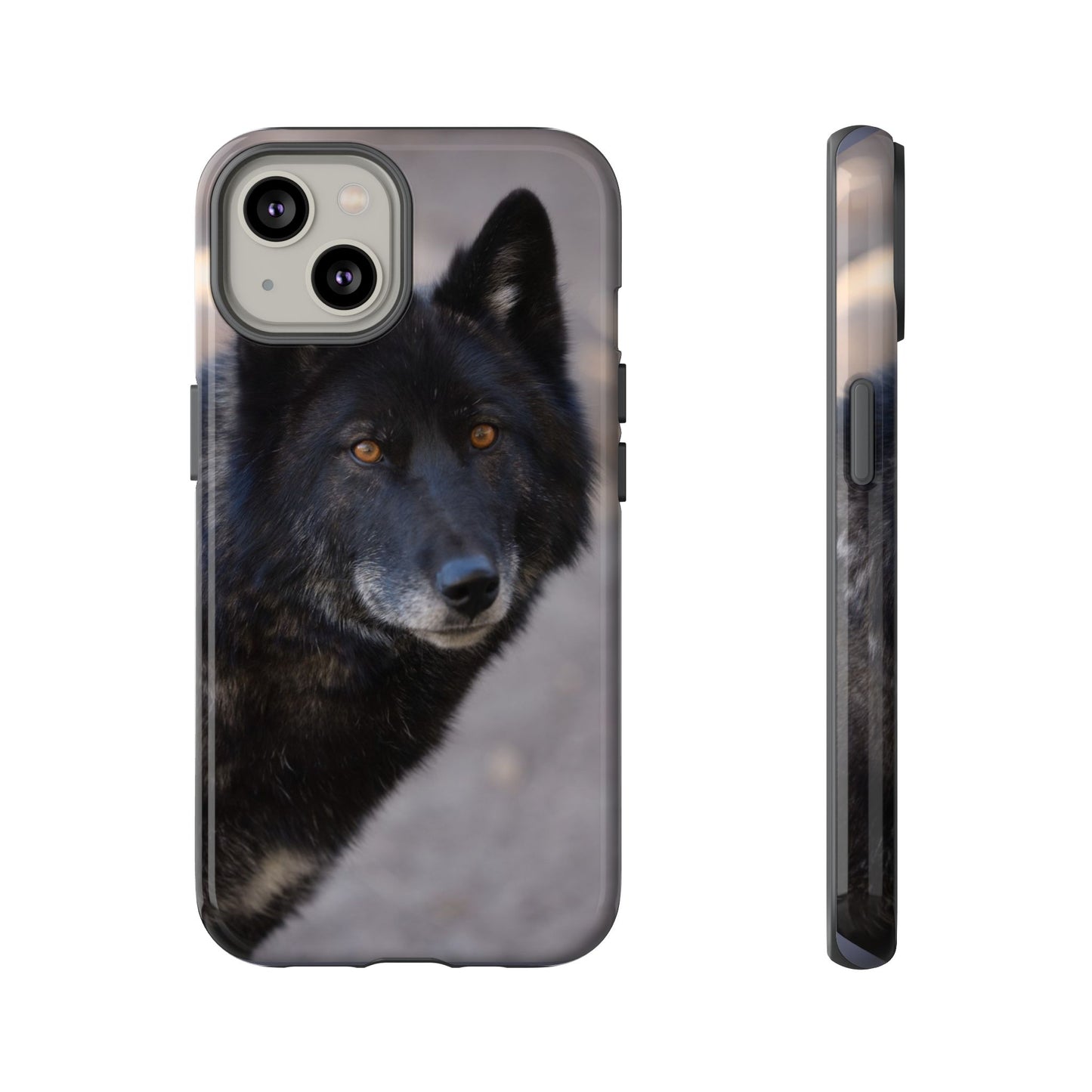 Lakota Phone Case