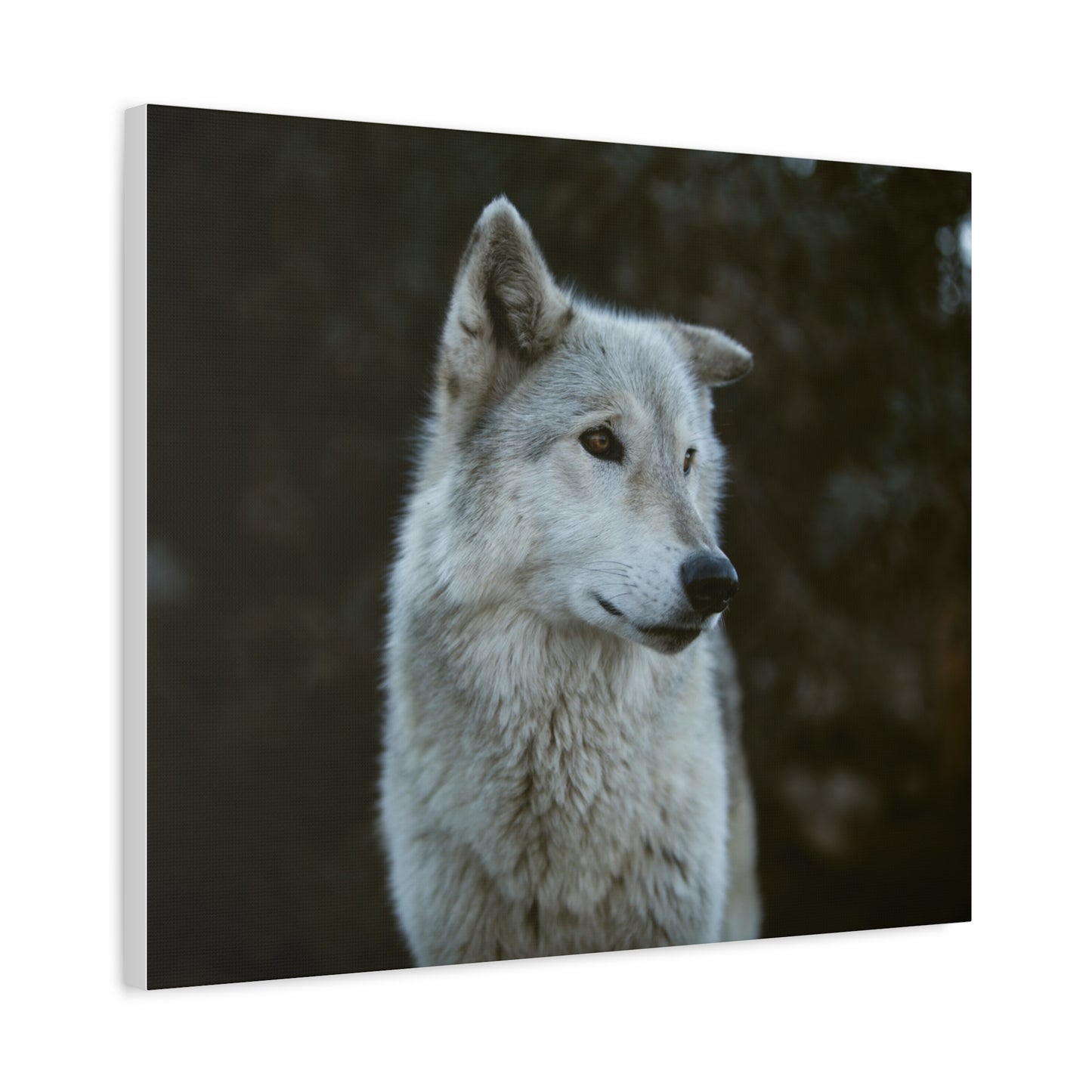 Willow Canvas Print