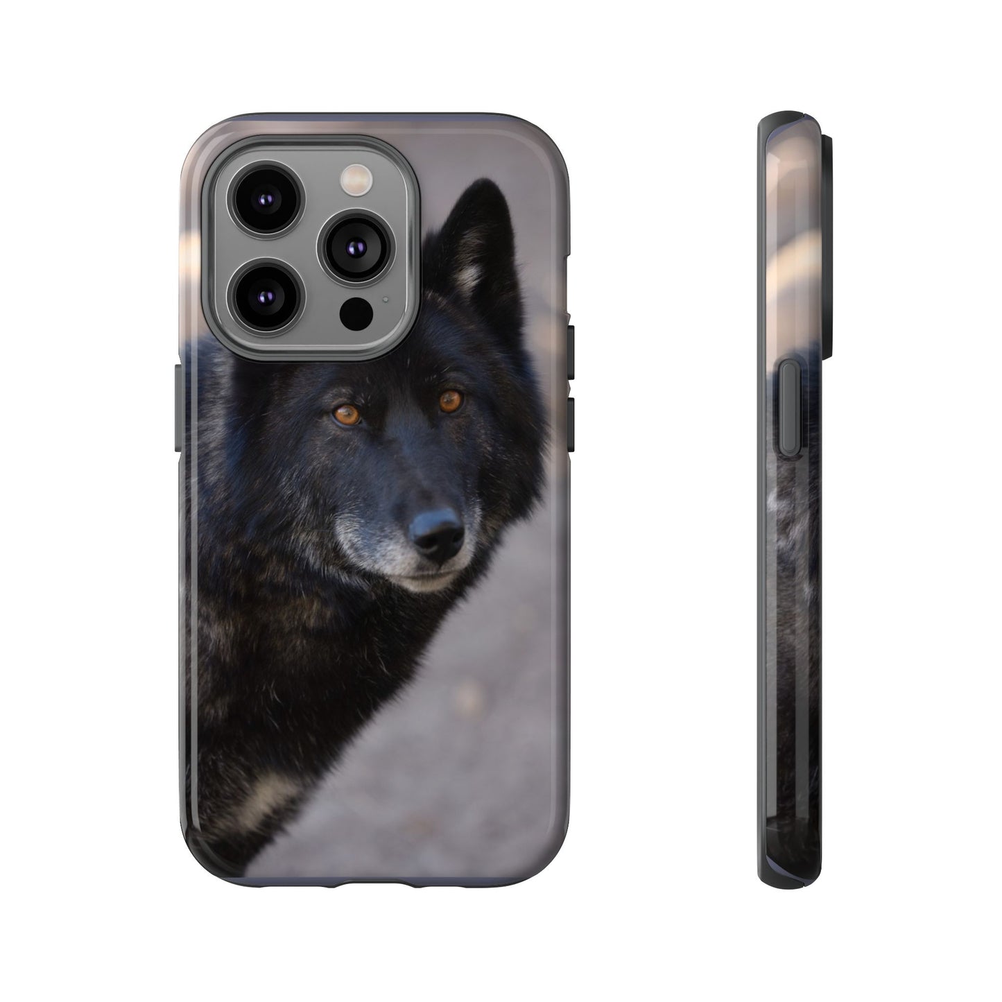 Lakota Phone Case