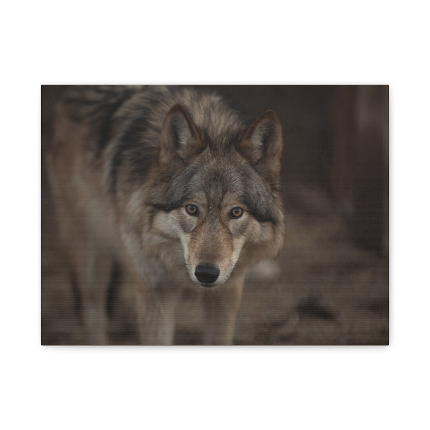 Nali Canvas Print