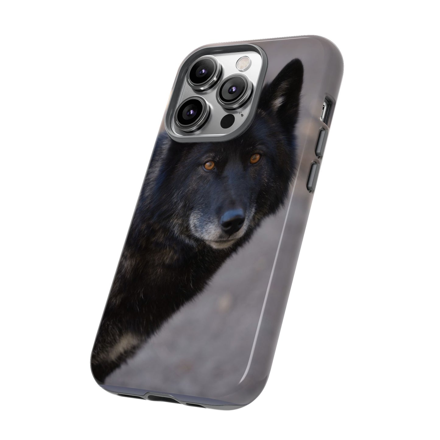 Lakota Phone Case