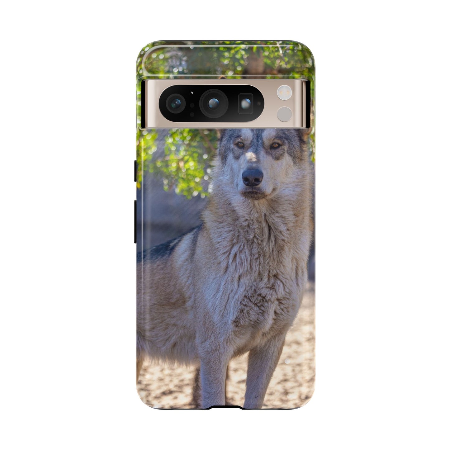 Rome Phone Case