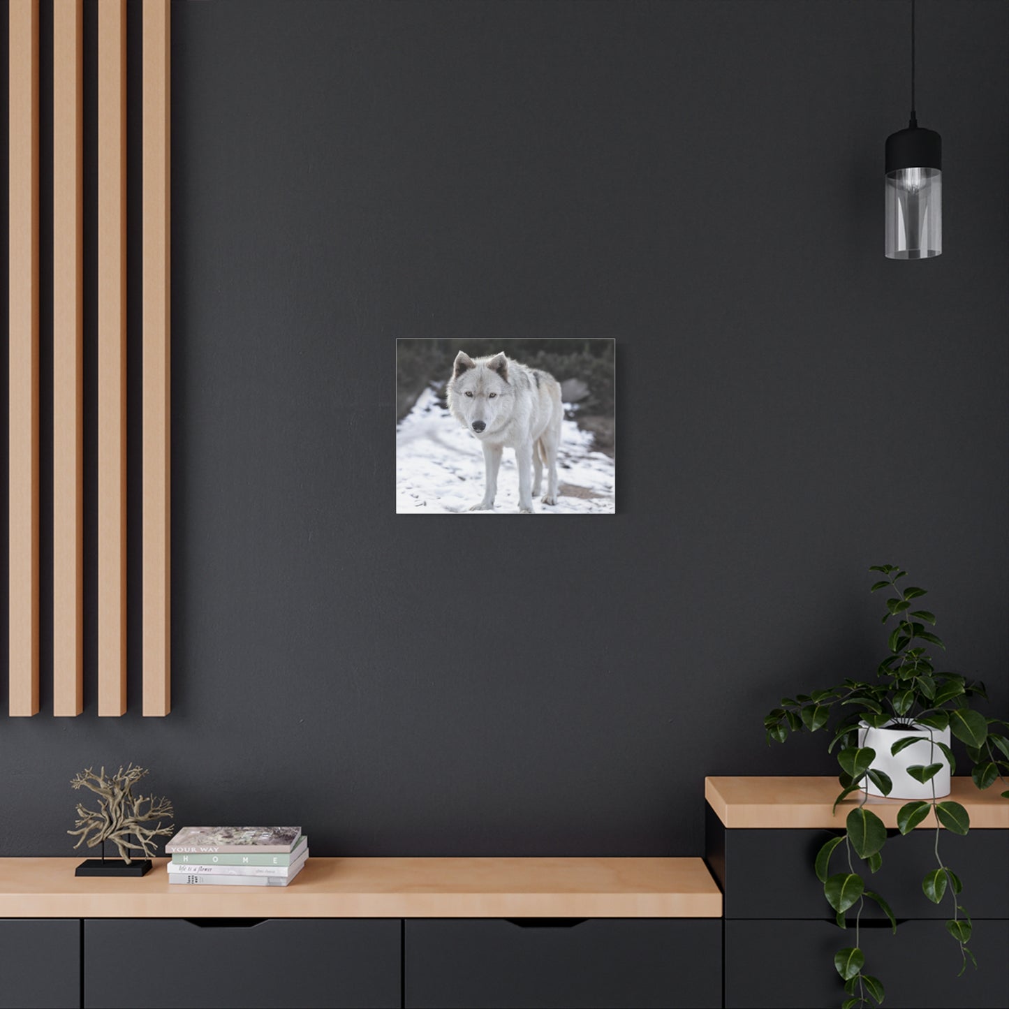 Leo Canvas Print