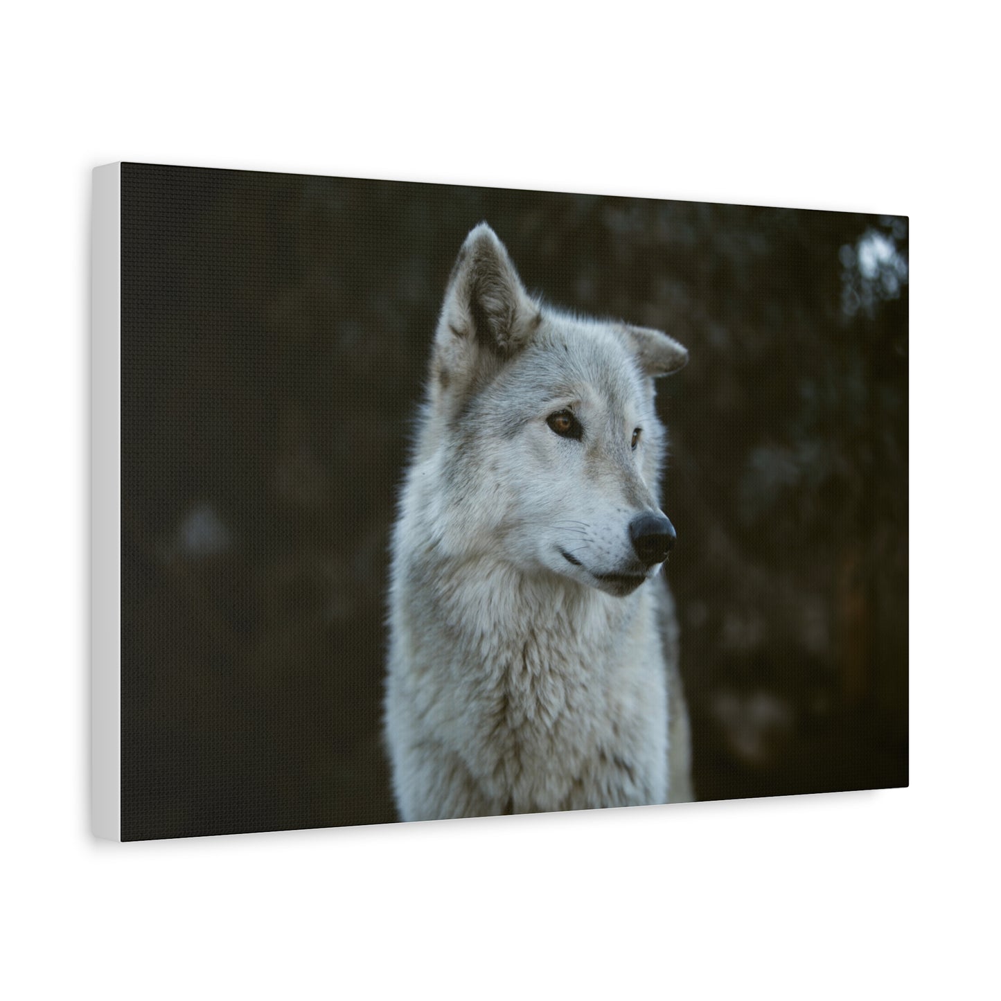 Willow Canvas Print