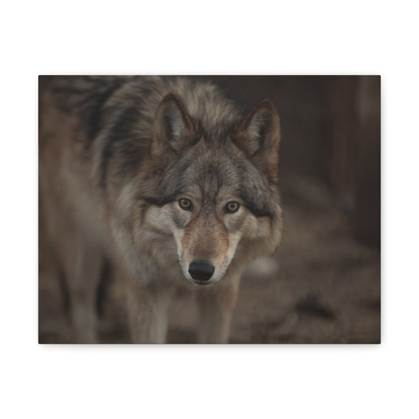 Nali Canvas Print