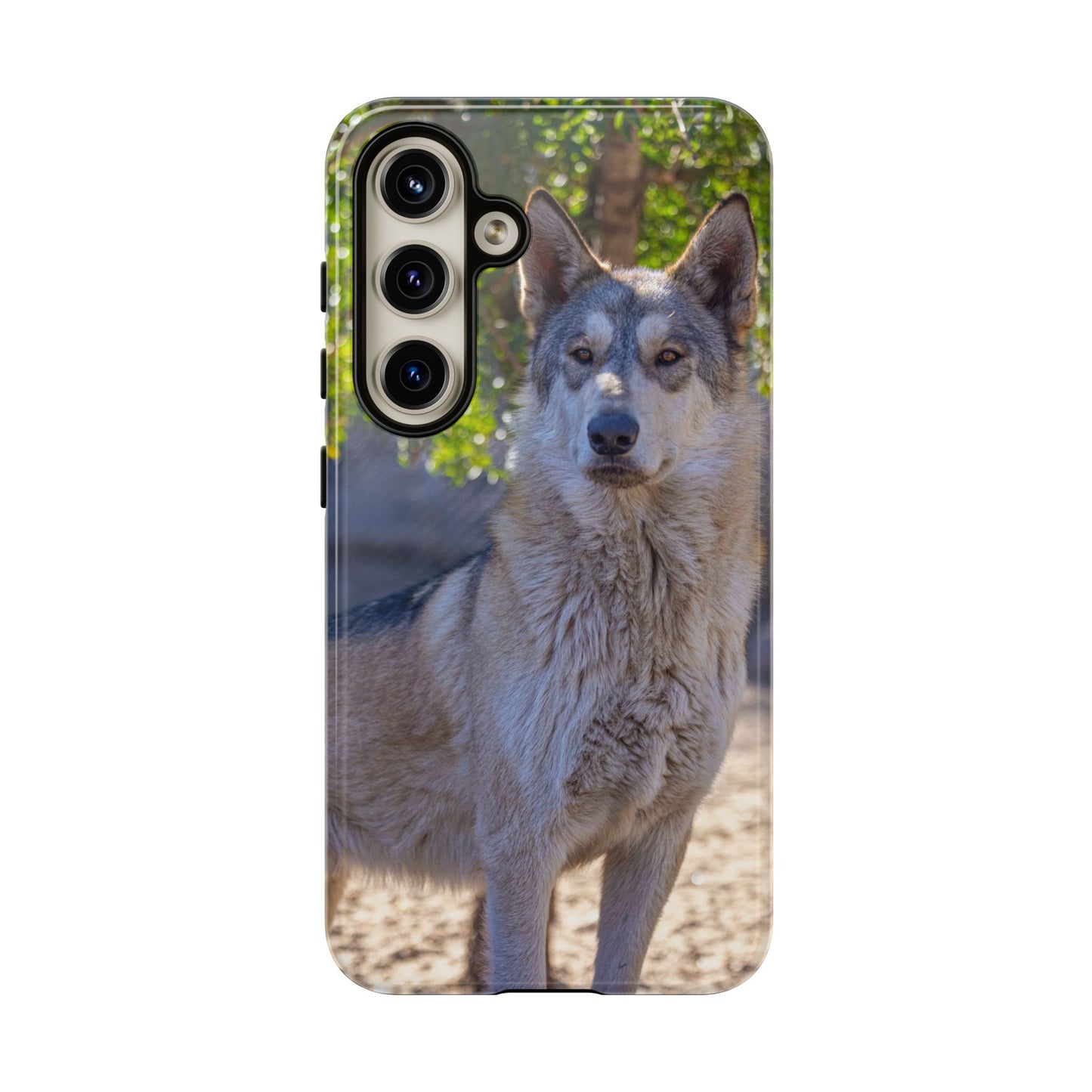 Rome Phone Case