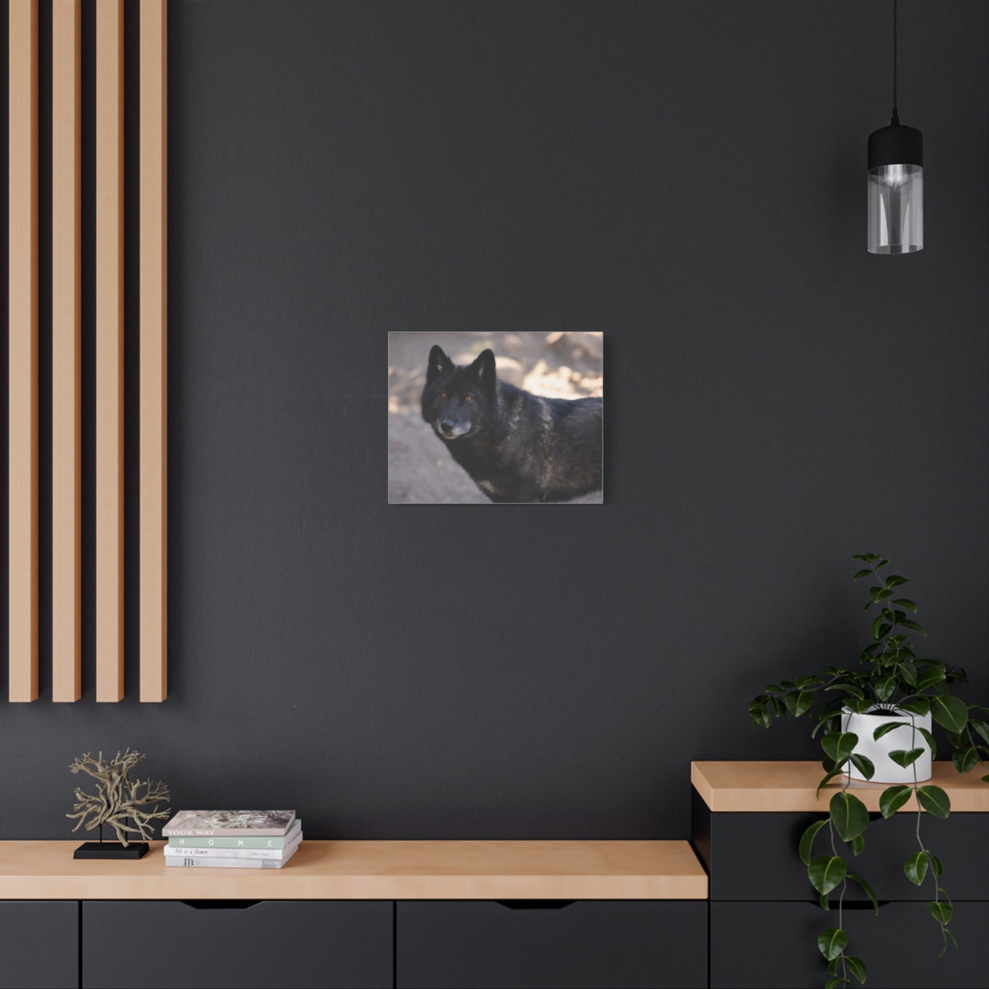 Lakota Canvas Print