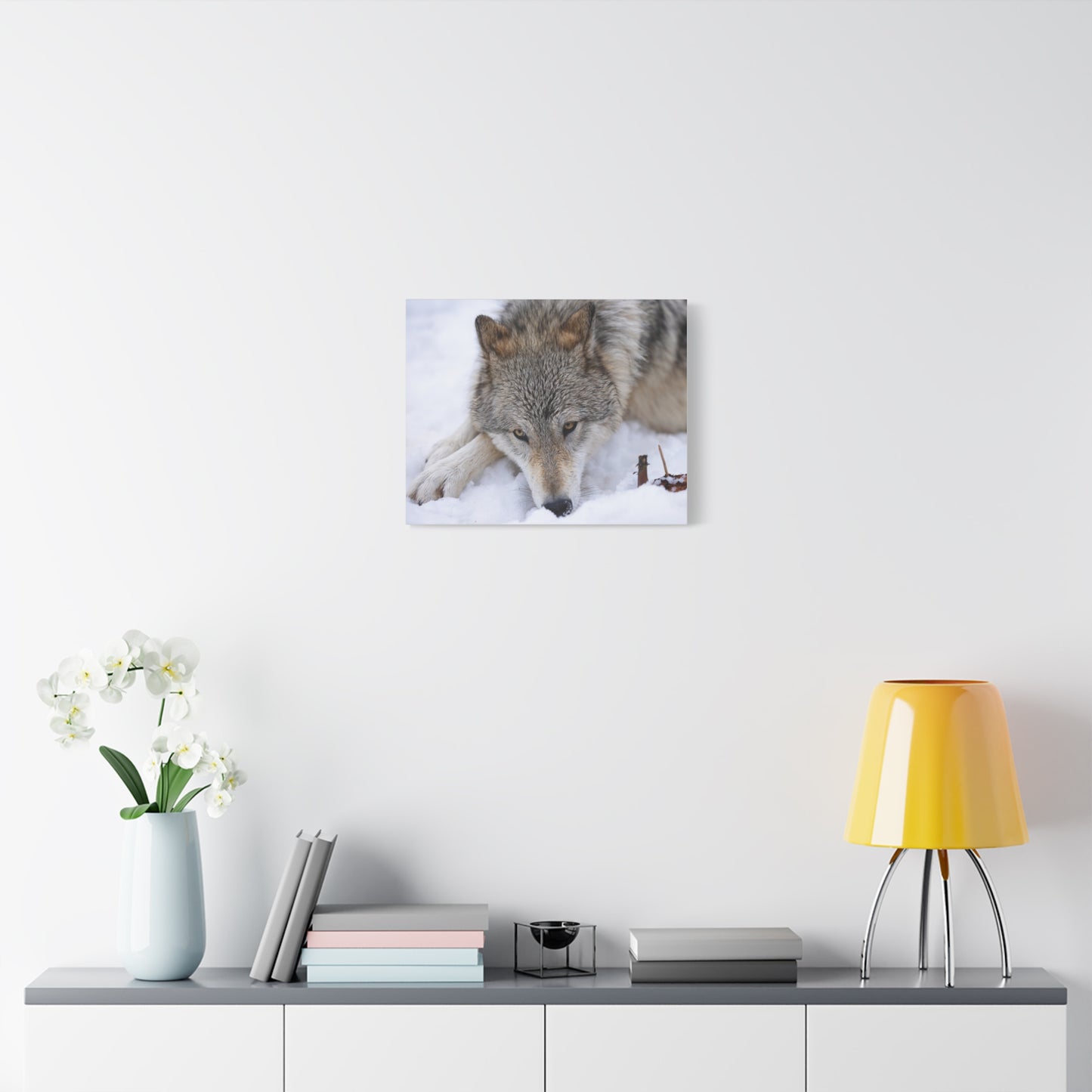 Nukumi Canvas Print