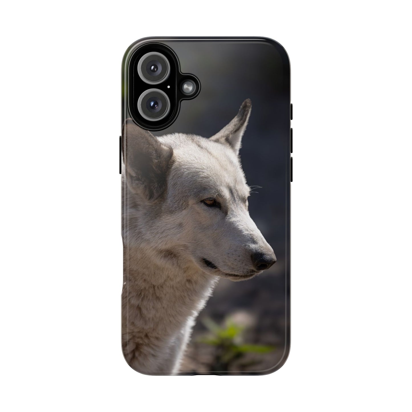 Beo Phone Case