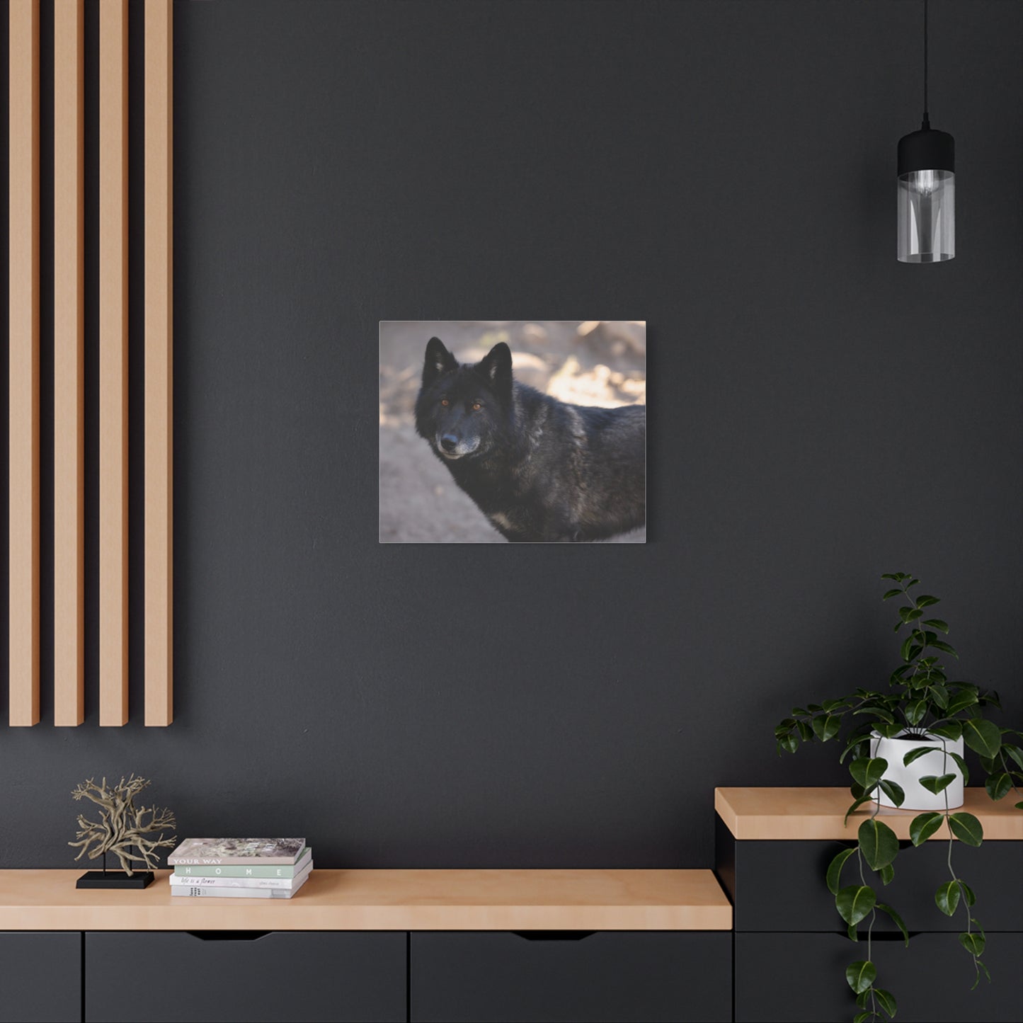Lakota Canvas Print