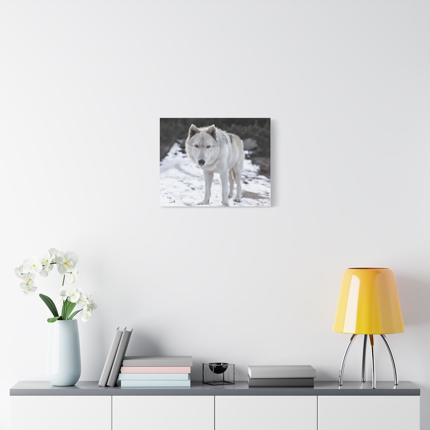 Leo Canvas Print