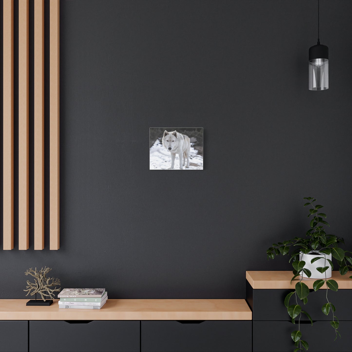 Leo Canvas Print