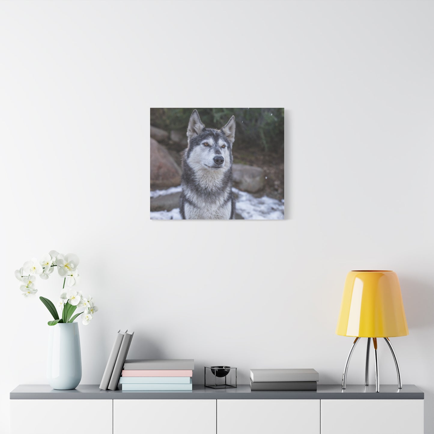 Luna Canvas Print