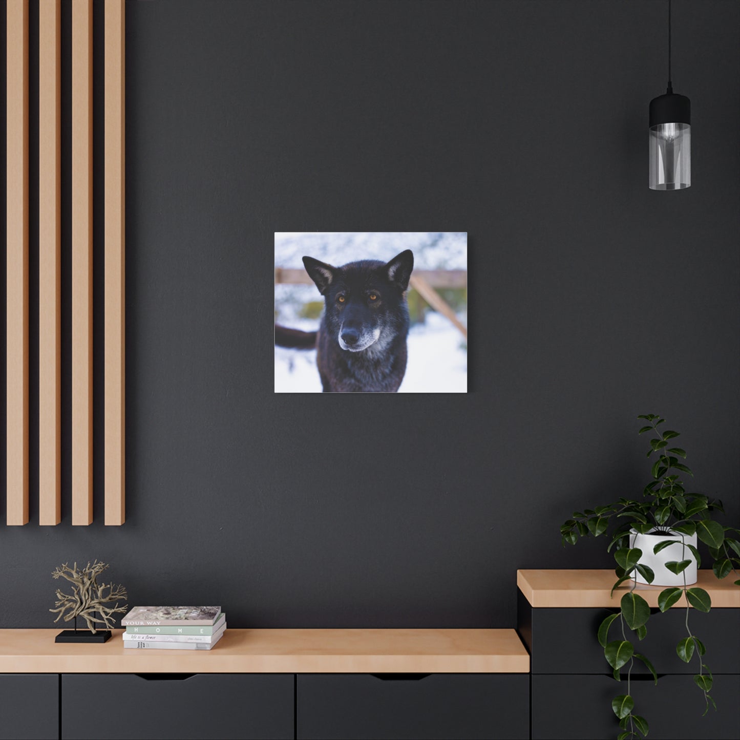 Gemma Canvas Print