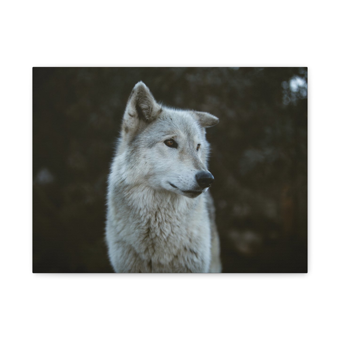 Willow Canvas Print