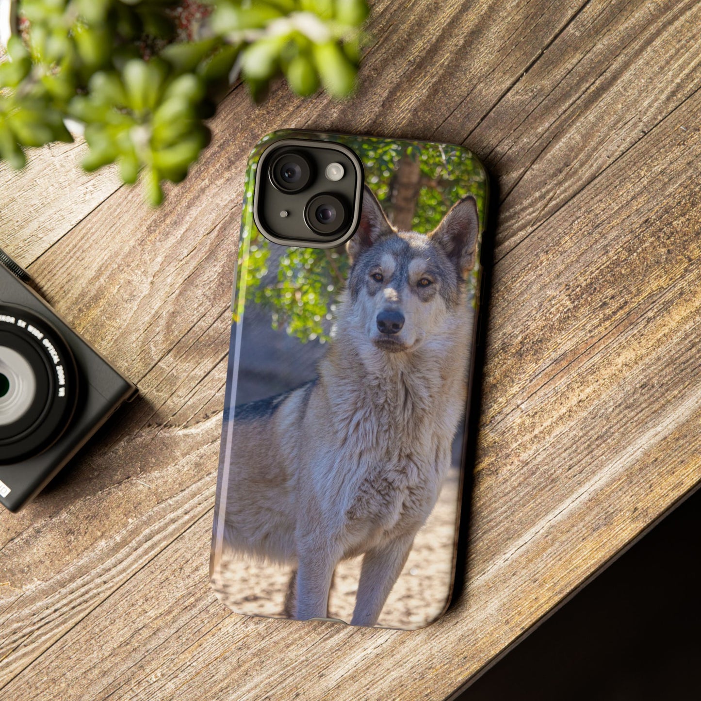 Rome Phone Case