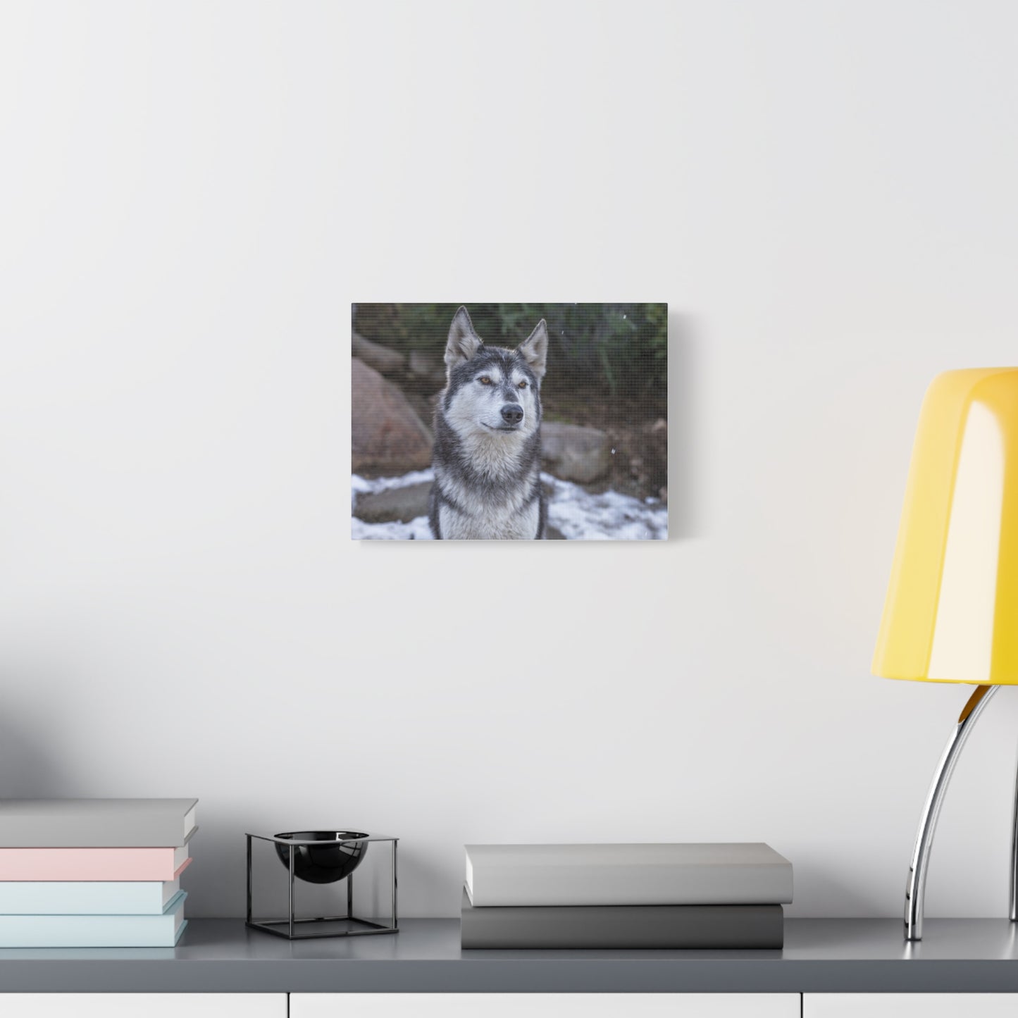 Luna Canvas Print