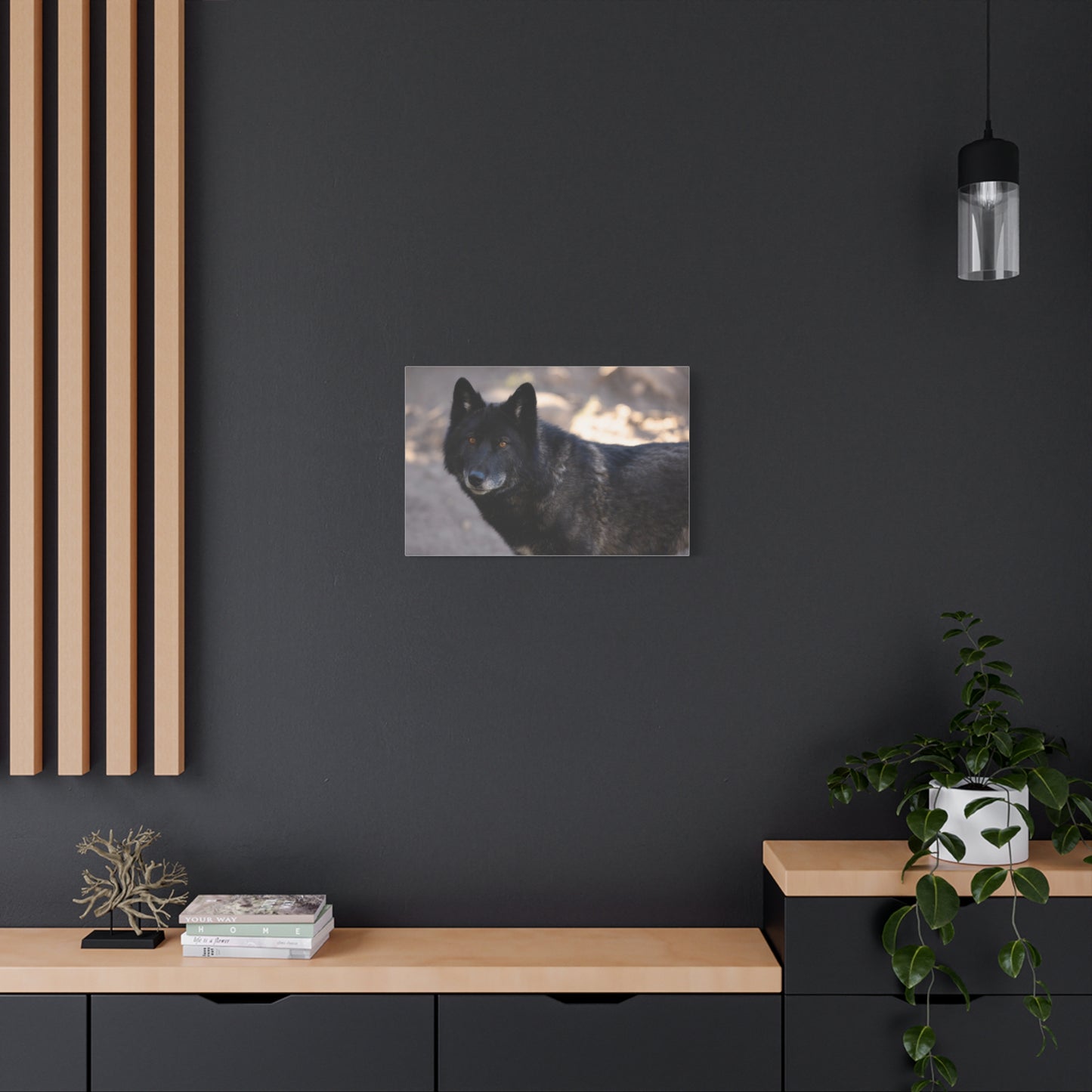 Lakota Canvas Print