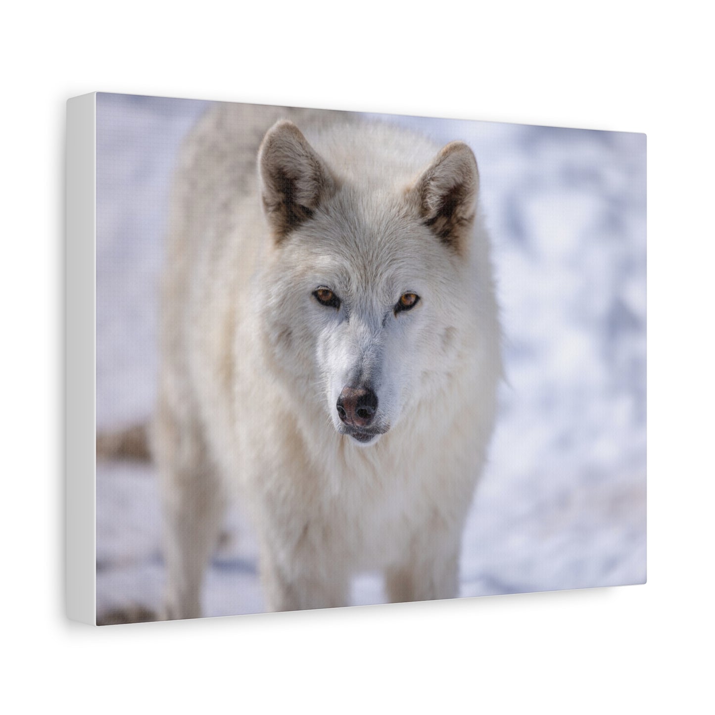 Charlee Canvas Print
