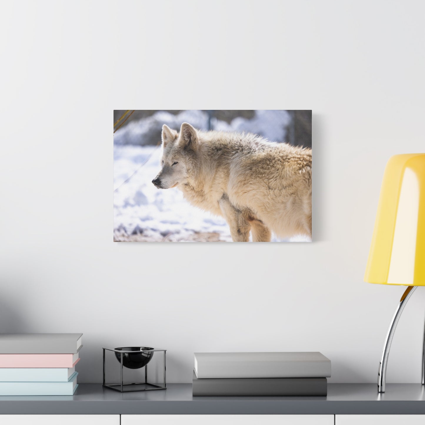 Max Canvas Print