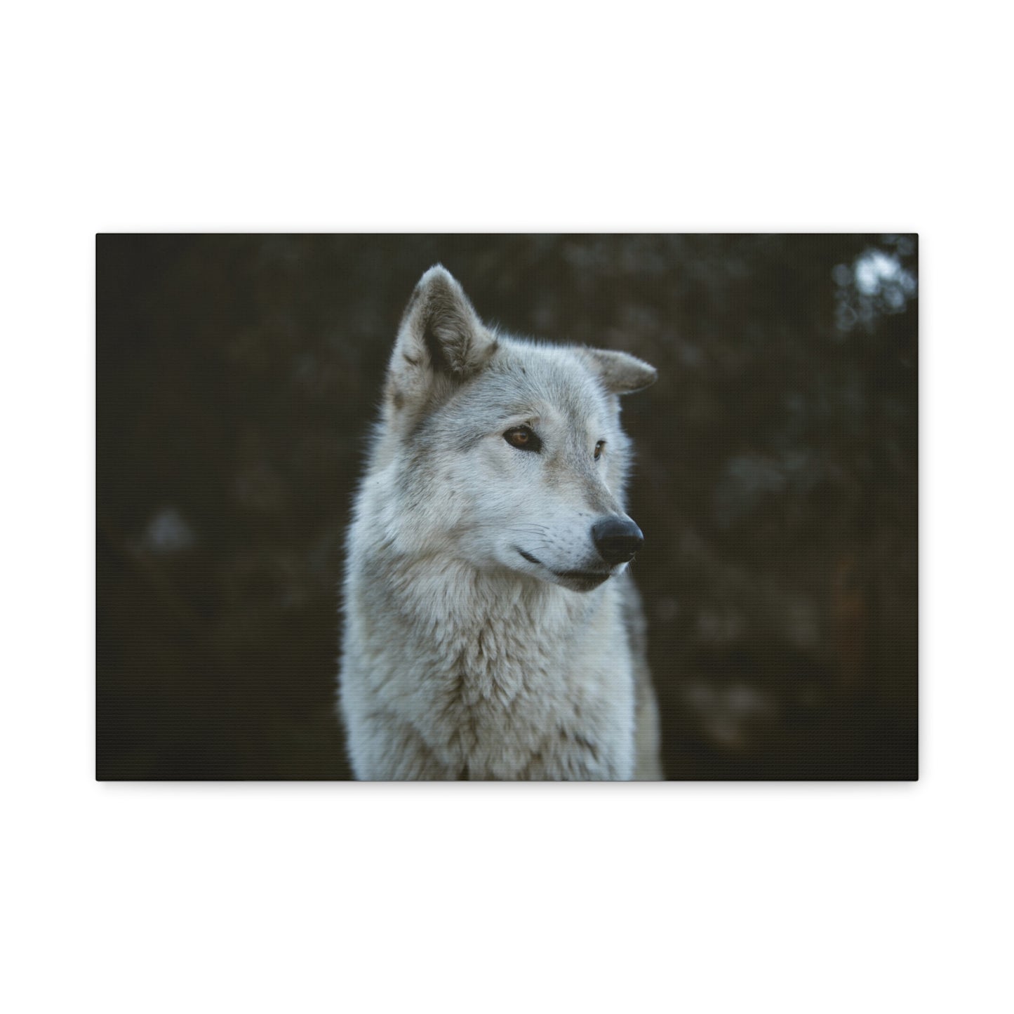 Willow Canvas Print