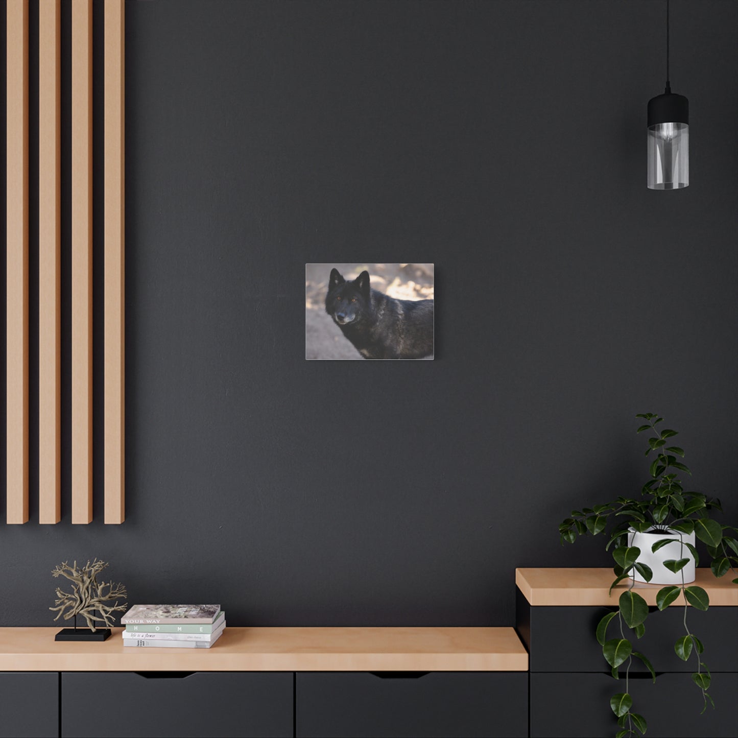 Lakota Canvas Print