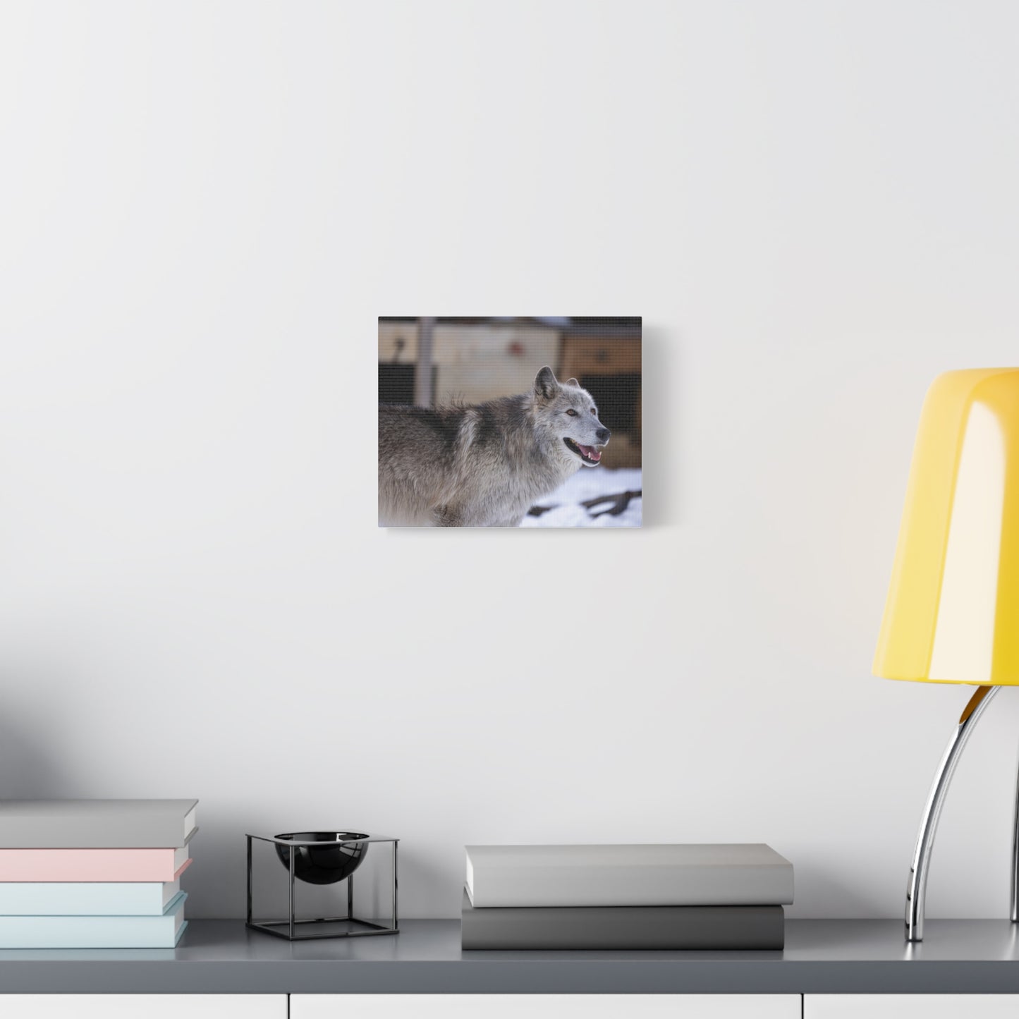Daisy Canvas print