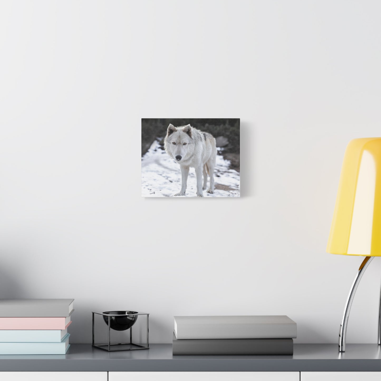 Leo Canvas Print