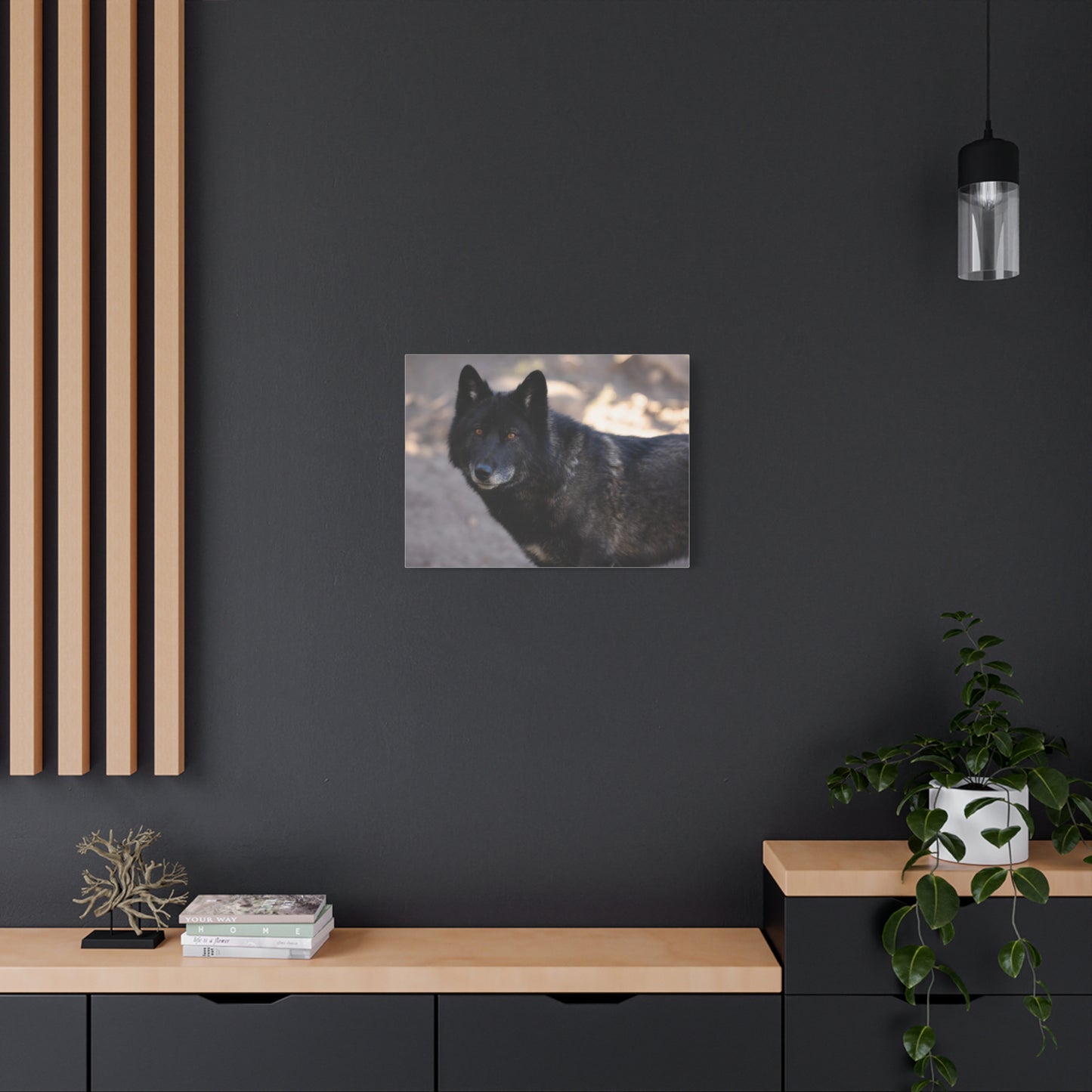 Lakota Canvas Print