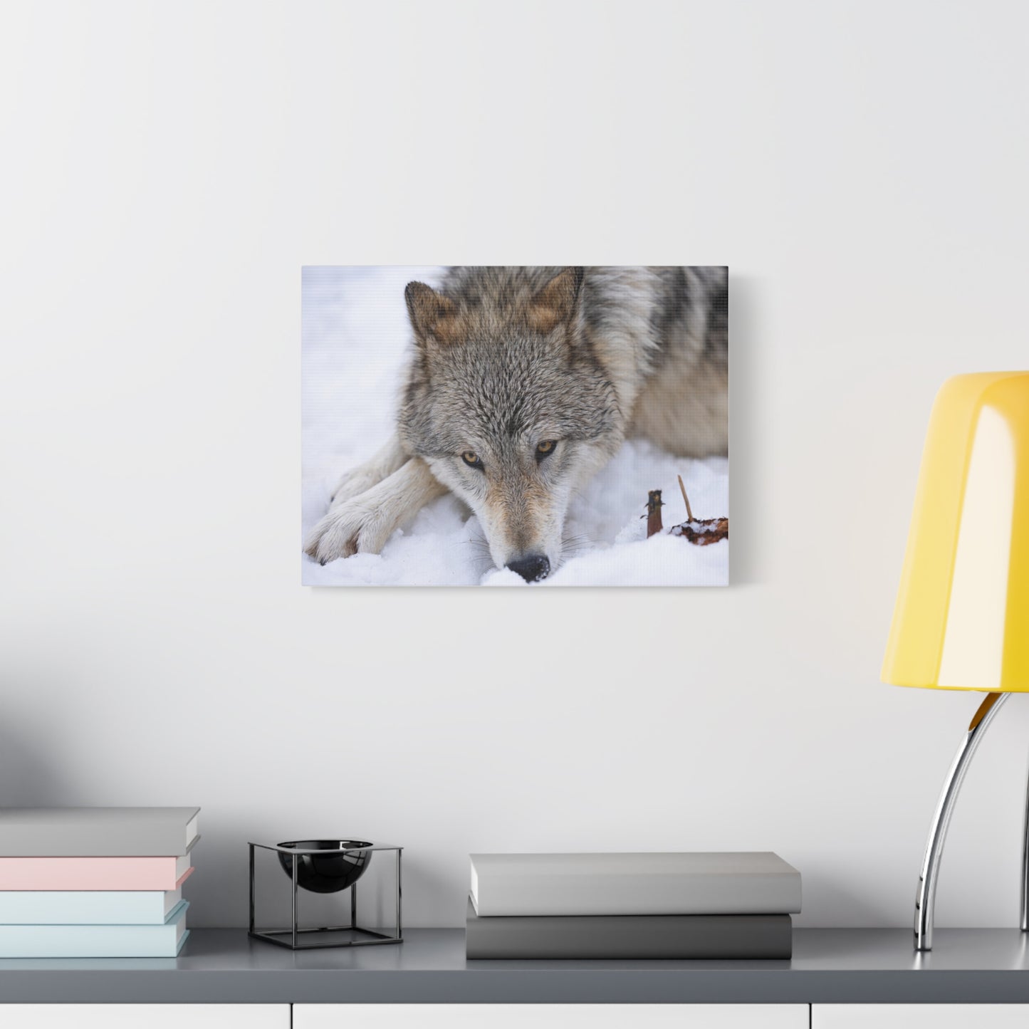 Nukumi Canvas Print