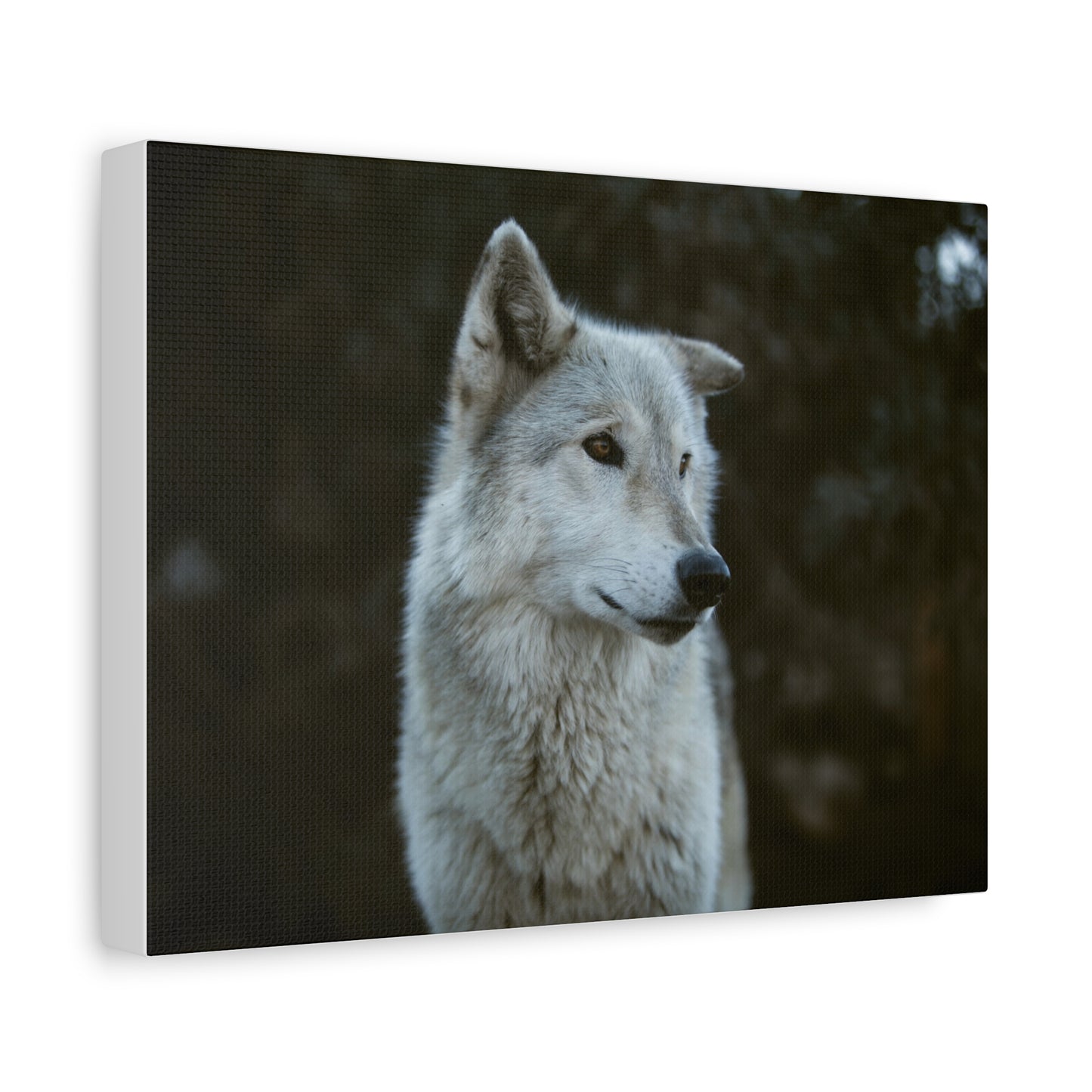 Willow Canvas Print