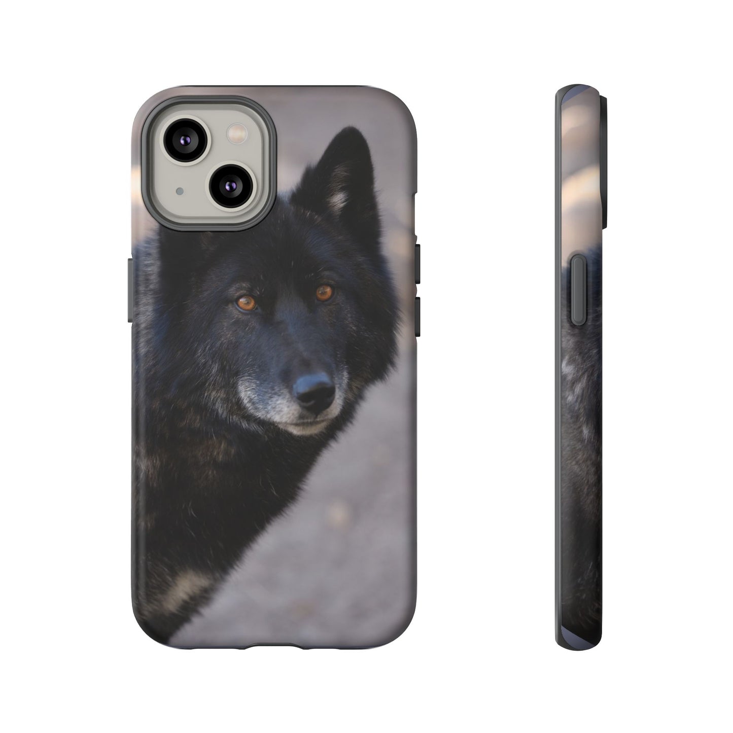 Lakota Phone Case