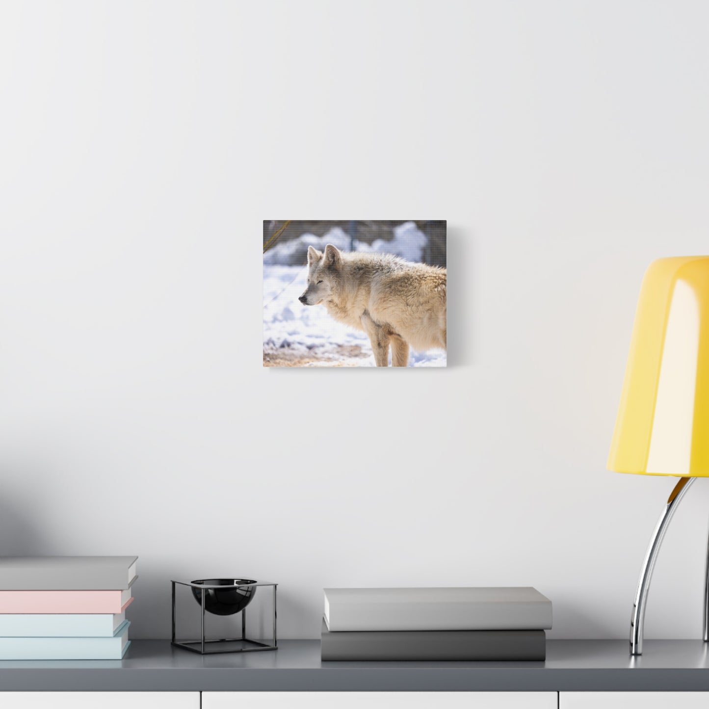 Max Canvas Print