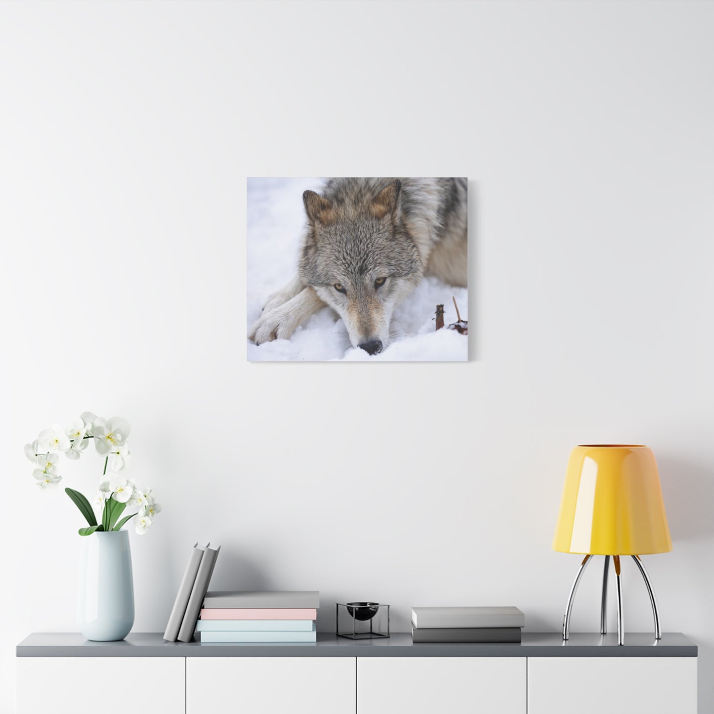 Nukumi Canvas Print