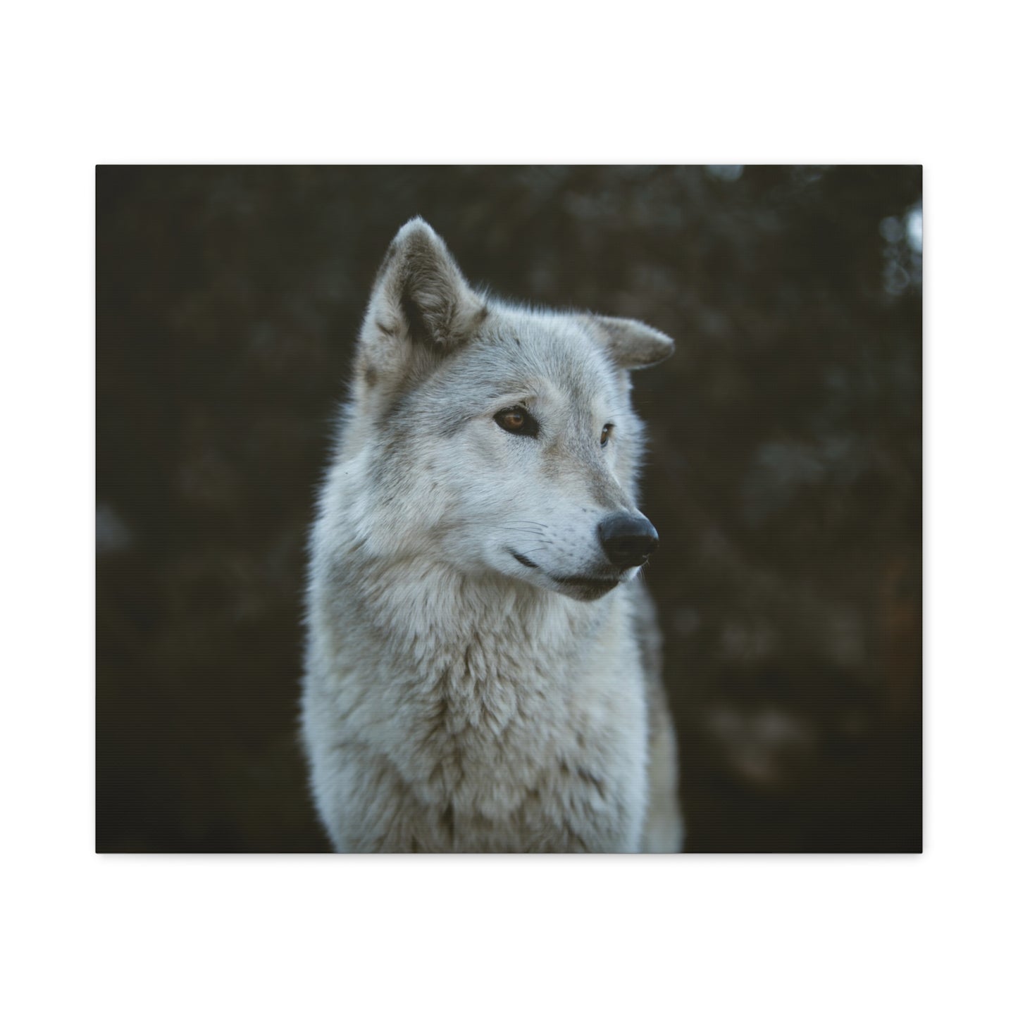 Willow Canvas Print