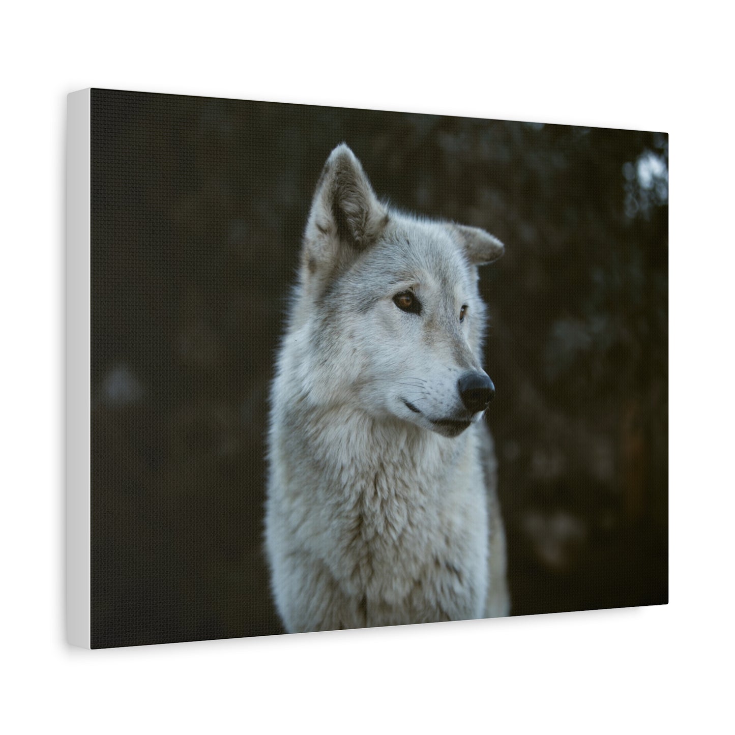 Willow Canvas Print