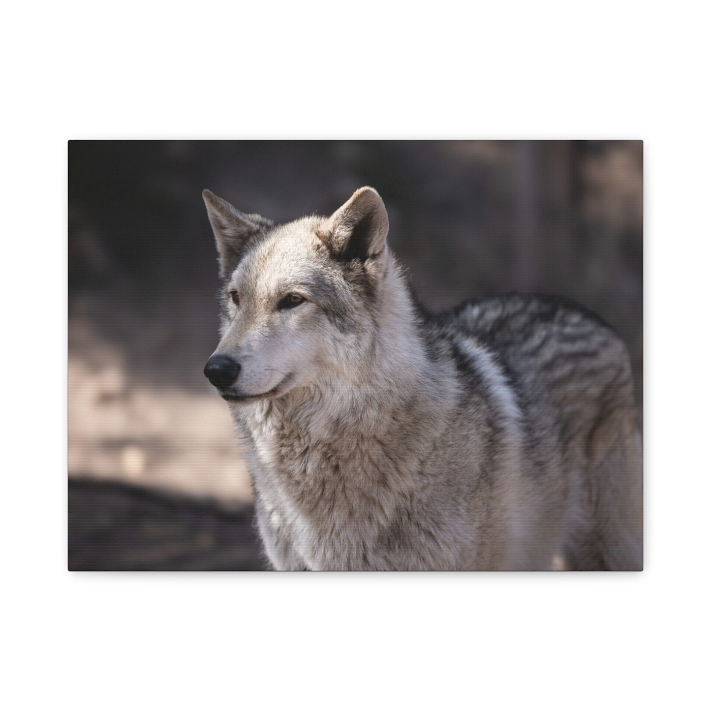 Torben Canvas Print