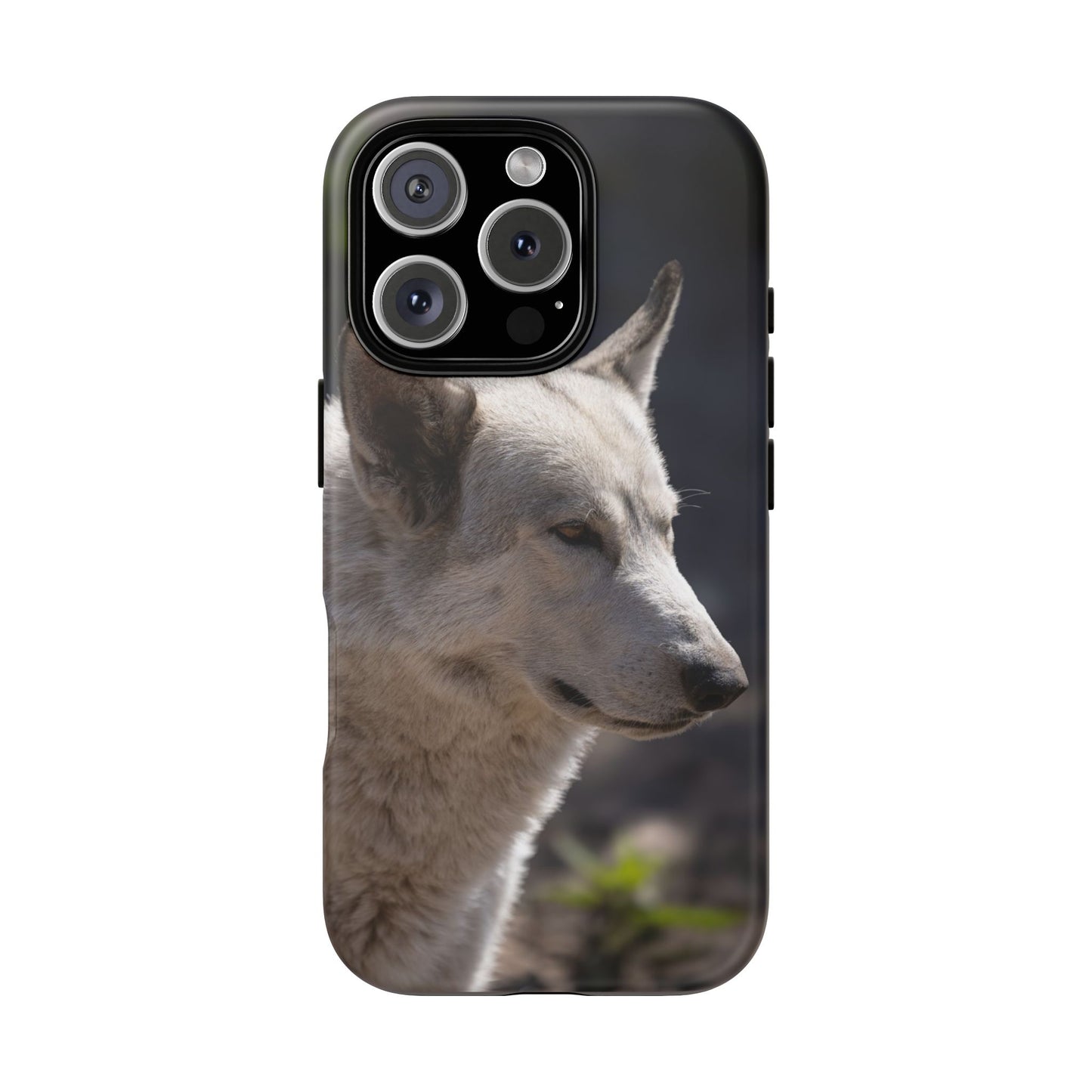 Beo Phone Case