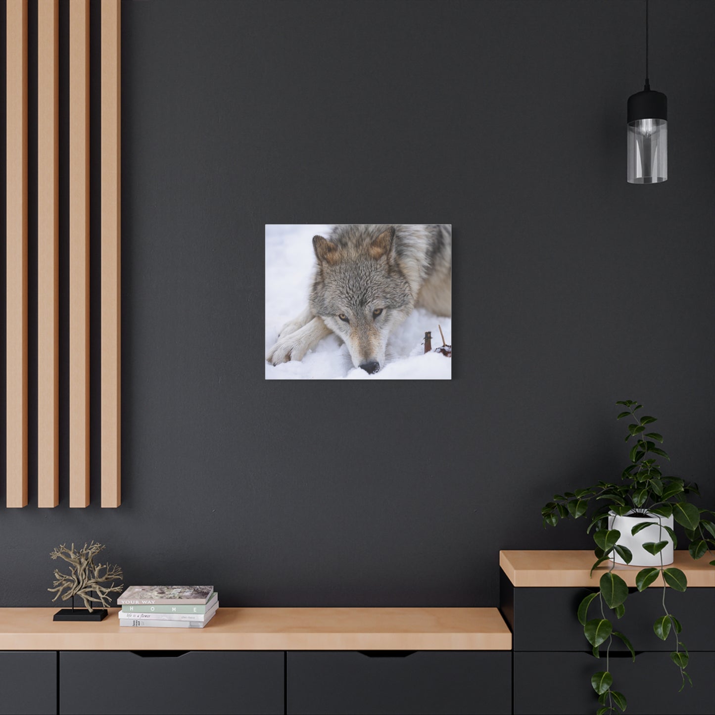 Nukumi Canvas Print