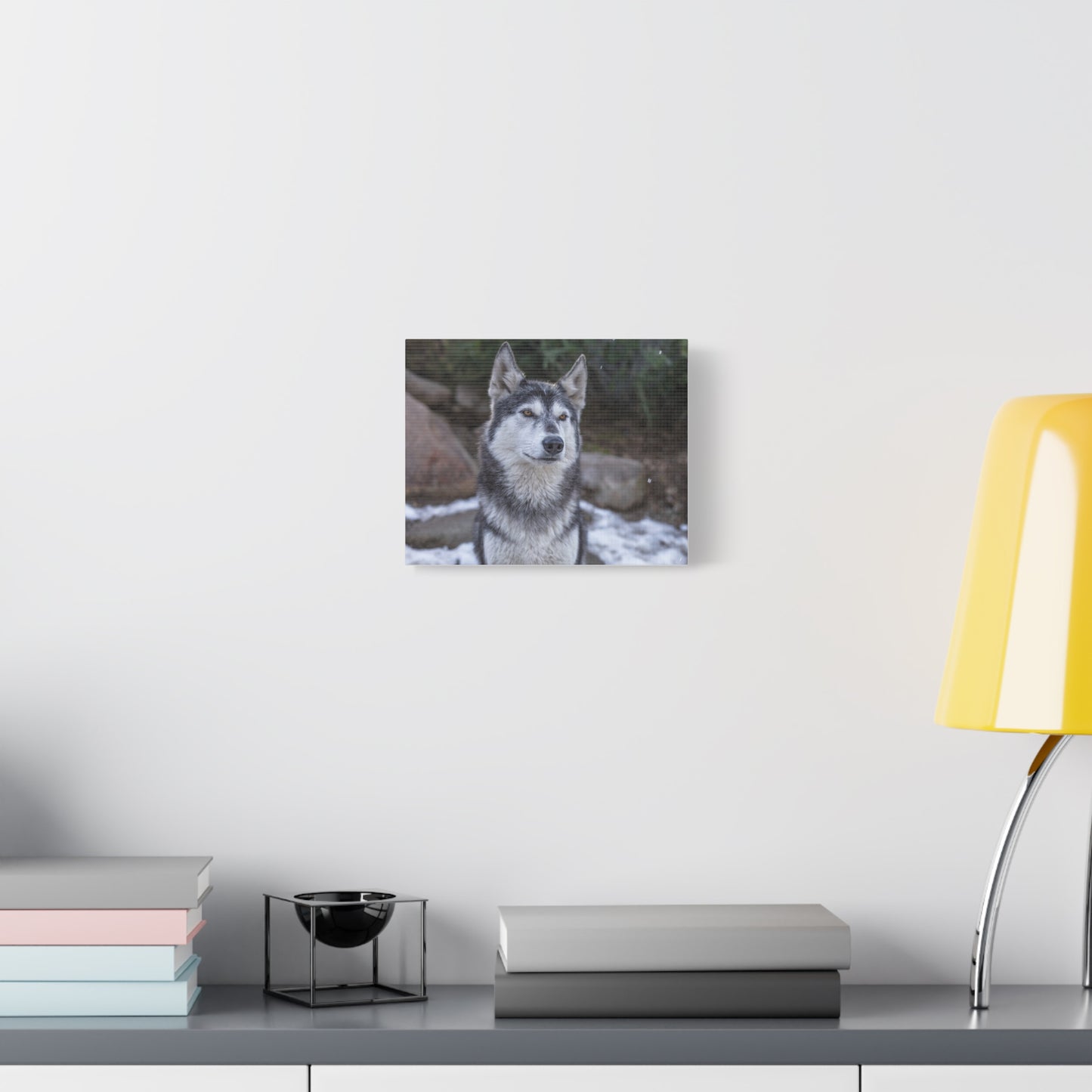 Luna Canvas Print