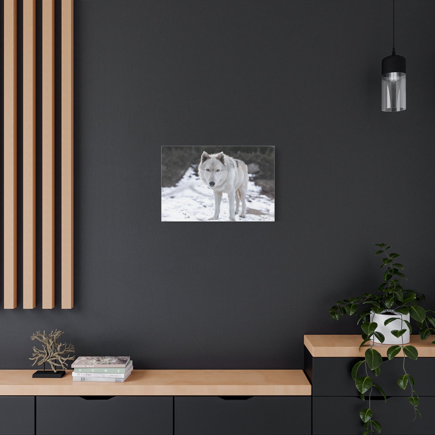 Leo Canvas Print