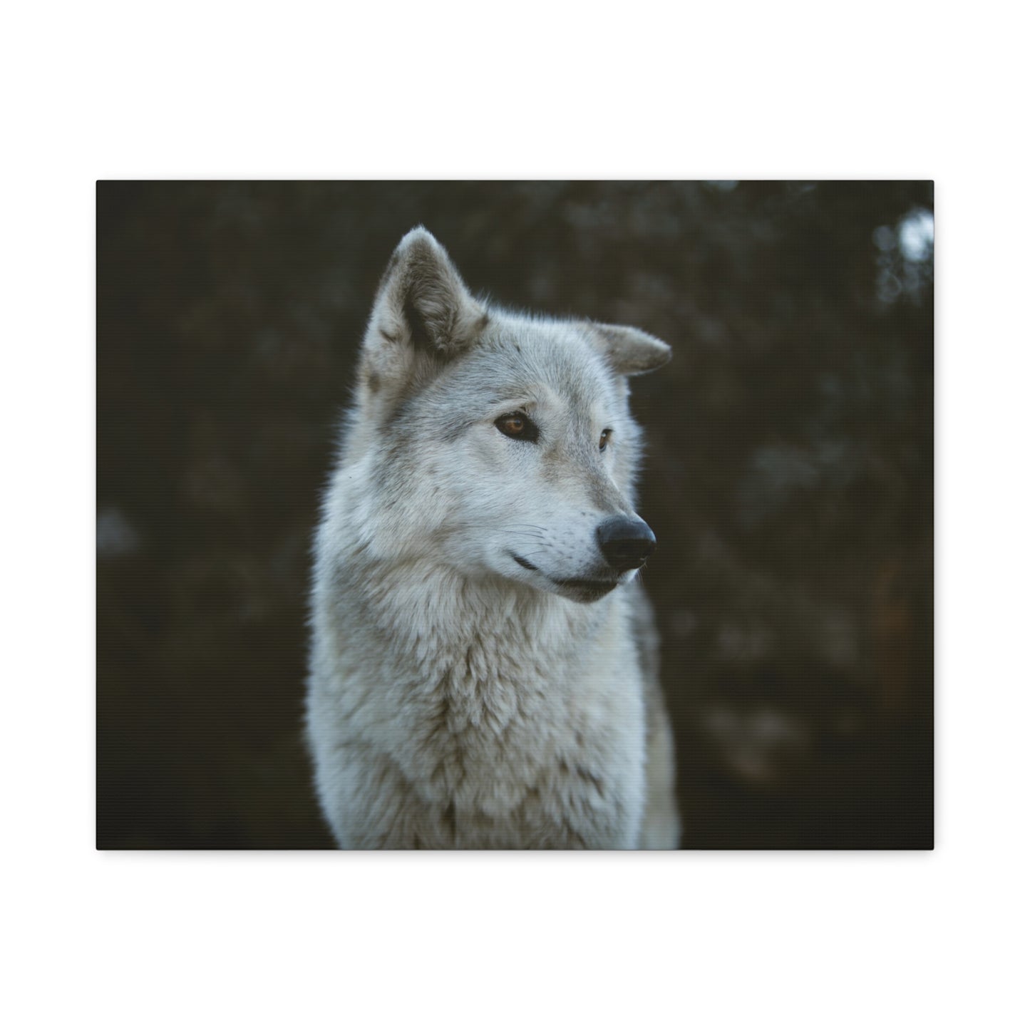 Willow Canvas Print