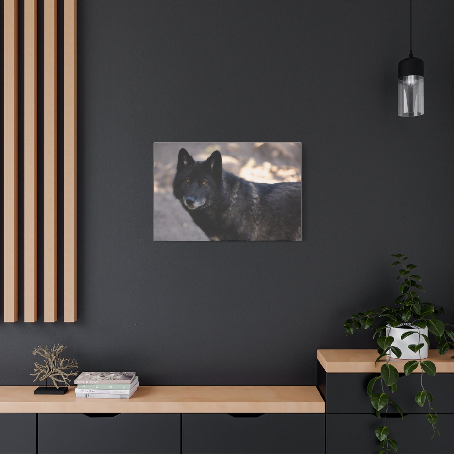 Lakota Canvas Print