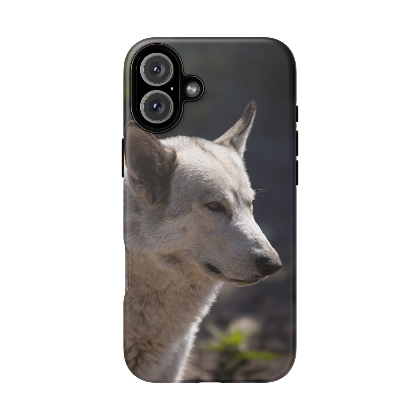 Beo Phone Case