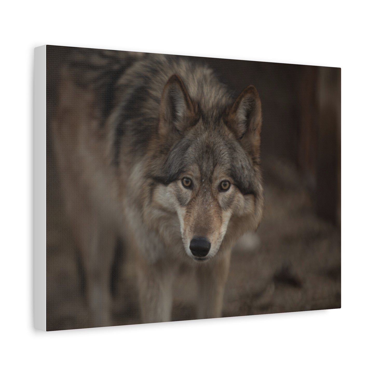 Nali Canvas Print