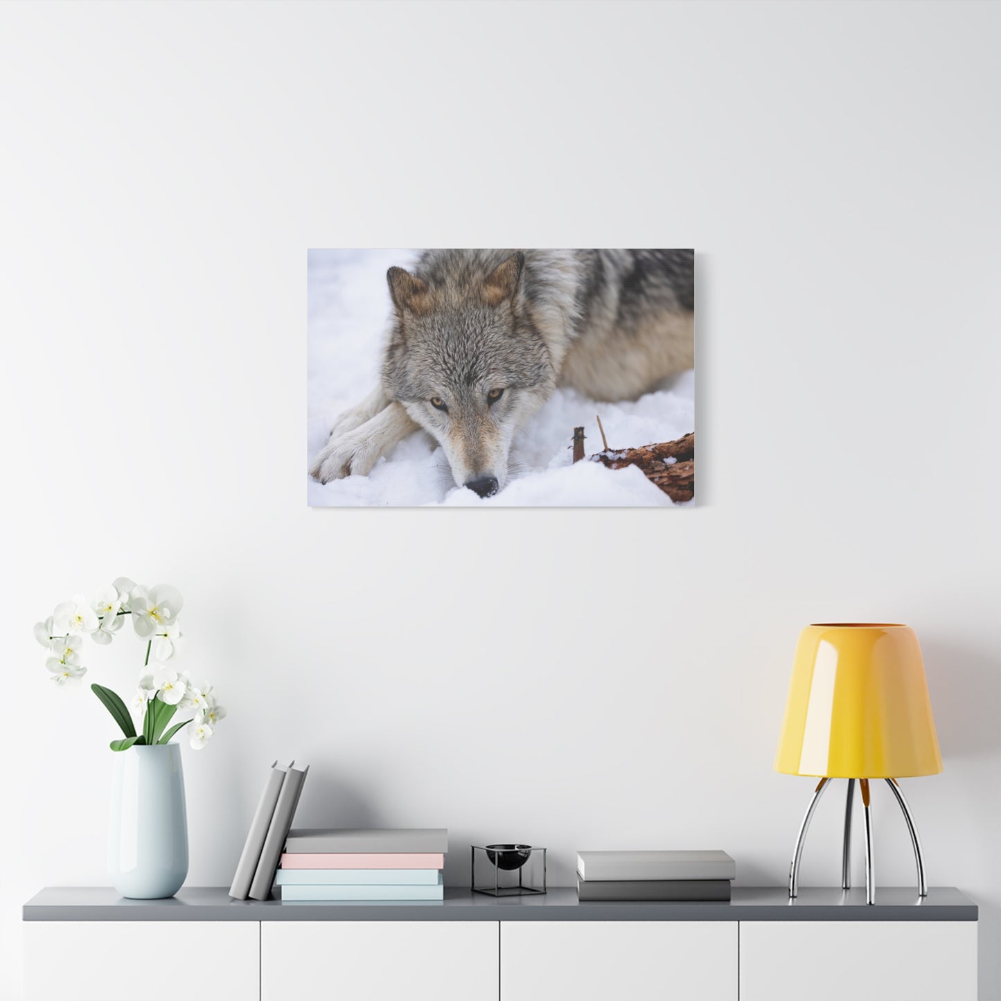 Nukumi Canvas Print